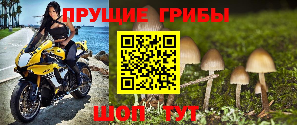 Псилоцибиновые грибы GOLDEN TEACHER Клин