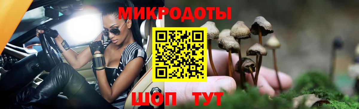 Псилоцибиновые грибы прущие грибы  Вход с VPN  Клин 